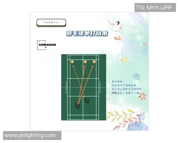 深入分析杭州羽毛球队边路渗透战术的独特魅力与实战应用